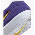 Мужские кроссовки Nike SB Force 58 - DV5477-500