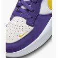 Мужские кроссовки Nike SB Force 58 - DV5477-500