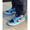 Мужские кроссовки Nike SB Force 58 Premium - DV5476-400