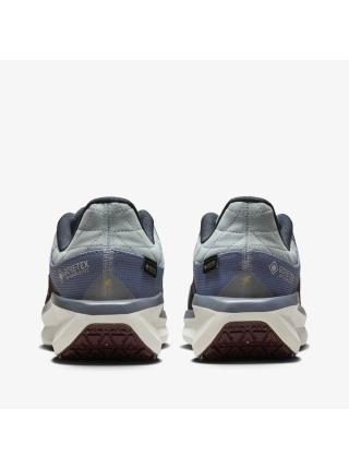 Мужские кроссовки Nike Winflo 11 GTX - FQ1358-003