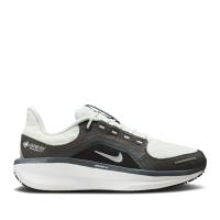 Мужские кроссовки Nike Winflo 11 GTX - FQ1358-004