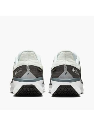 Мужские кроссовки Nike Winflo 11 GTX - FQ1358-004