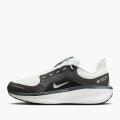 Мужские кроссовки Nike Winflo 11 GTX - FQ1358-004 Мужские кроссовки Nike Winflo 11 GTX - FQ1358-004