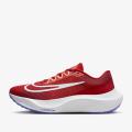 Мужские кроссовки Nike Zoom Fly 5 - DM8968-601