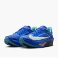 Мужские кроссовки Nike Zoom Fly 6 - HQ1718-400
