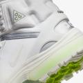 Мужские ботинки Nike ACG Air Zoom Gaiadome GTX - DD2858-100