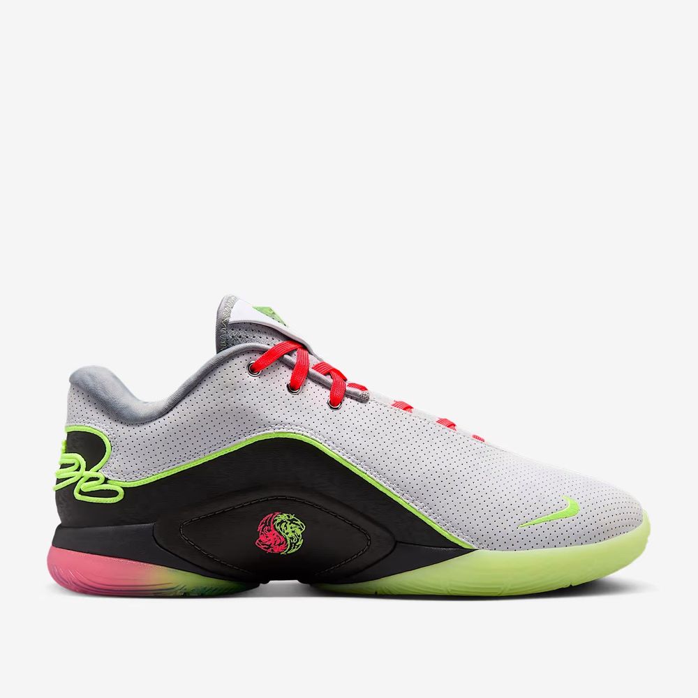 Мужские кроссовки Nike LeBron 22 - FZ1094-101 в интернет магазине