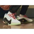 Мужские кроссовки Nike LeBron 22 - FZ1094-101