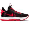 LeBron Witness V