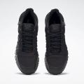 Мужские кроссовки Reebok Astroride Trail 2.0 GTX - EF4157