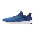 Мужские кроссовки Reebok Astroride Strike - CN5302