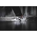 Мужские кроссовки Reebok InstaPump Fury x Future "Overbranded" - AR1413