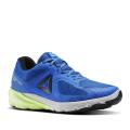 Мужские кроссовки Reebok OSR Harmony Road GTX - BS8524