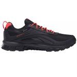 Мужские кроссовки Reebok Ridgerider 6.0
