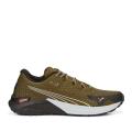 Мужские кроссовки Puma Fast-Trac Nitro Gore-Tex - 377062-02