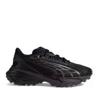 Мужские кроссовки Puma Spirex Carbon - 399566-01