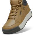 Мужские кроссовки Puma Tarrenz SB III - 392628-02