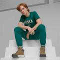 Мужские кроссовки Puma Tarrenz SB III - 392628-02