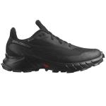 Мужские кроссовки Salomon Alphacross 5 GTX
