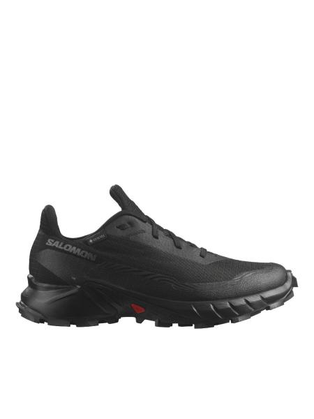 Мужские кроссовки Salomon Alphacross 5 GTX - 473075