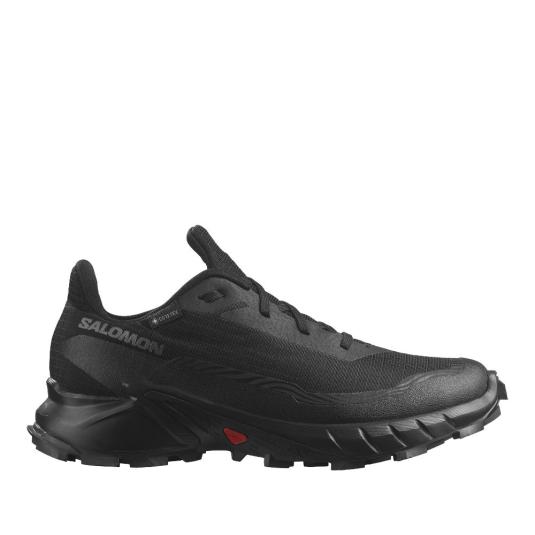 Мужские кроссовки Salomon Alphacross 5 GTX - 473075