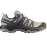 Мужские кроссовки Salomon Extend GTX