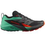 Мужские кроссовки Salomon Sense Ride 5