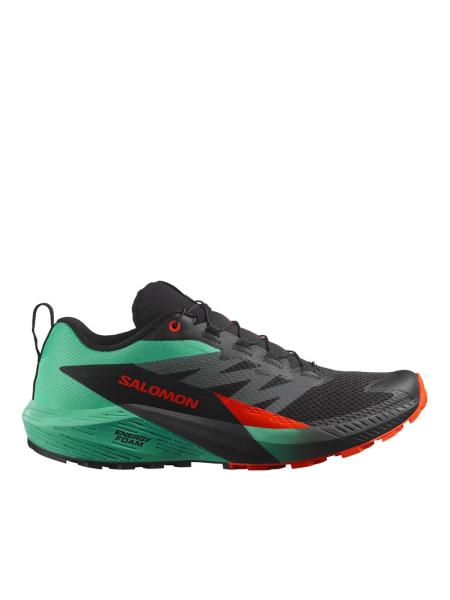Мужские кроссовки Salomon Sense Ride 5 - 476982