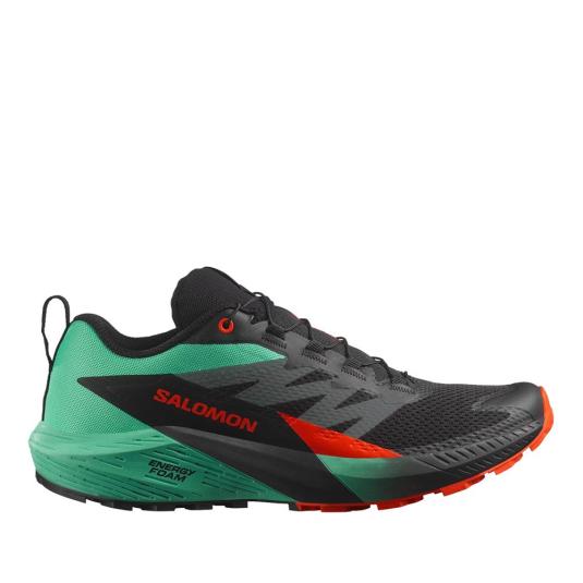 Мужские кроссовки Salomon Sense Ride 5 - 476982