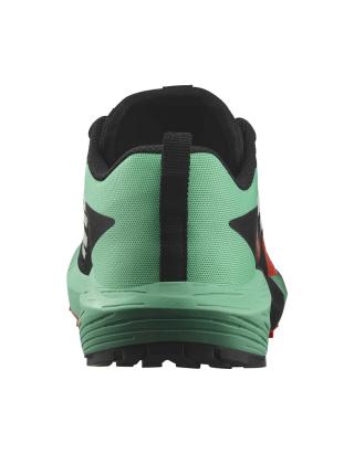 Мужские кроссовки Salomon Sense Ride 5 - 476982