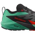Мужские кроссовки Salomon Sense Ride 5 - 476982