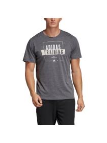 Мужская футболка Adidas Badge Graphic Tee - DV2493