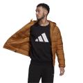 Мужская куртка Adidas Helionic Hooded Down Jacket - GU3953