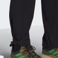 Мужские штаны Adidas Terrex LiteFlex - GI7310