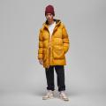 Мужская куртка Nike Jordan Essential Statement Parka - DQ7346-712