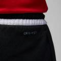 Мужские шорты Nike Jordan Diamond Dri-FIT Sport - DX1487-010