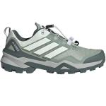 Женские кроссовки Adidas Terrex Skychaser