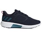 Женские кроссовки Adidas Climawarm All Terrain