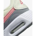 Женские кроссовки Nike Air Max SC - CW4554-114