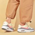 Женские кроссовки Nike Air Max SC - CW4554-114