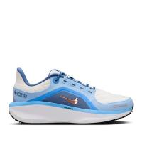 Женские кроссовки Nike Air Winflo 11 GTX - FQ1359-002