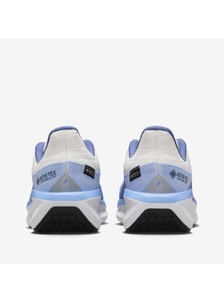 Женские кроссовки Nike Air Winflo 11 GTX - FQ1359-002