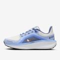 Женские кроссовки Nike Air Winflo 11 GTX - FQ1359-002