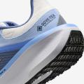 Женские кроссовки Nike Air Winflo 11 GTX - FQ1359-002