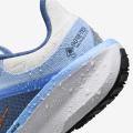 Женские кроссовки Nike Air Winflo 11 GTX - FQ1359-002