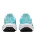Женские кроссовки Nike Air Zoom Pegasus 41 - FD2723-401