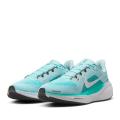 Женские кроссовки Nike Air Zoom Pegasus 41 - FD2723-401