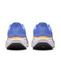 Женские кроссовки Nike Air Zoom Pegasus 41 - FD2723-402