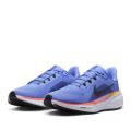 Женские кроссовки Nike Air Zoom Pegasus 41 - FD2723-402