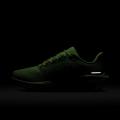 Женские кроссовки Nike Air Zoom Pegasus 41 - FD2723-701